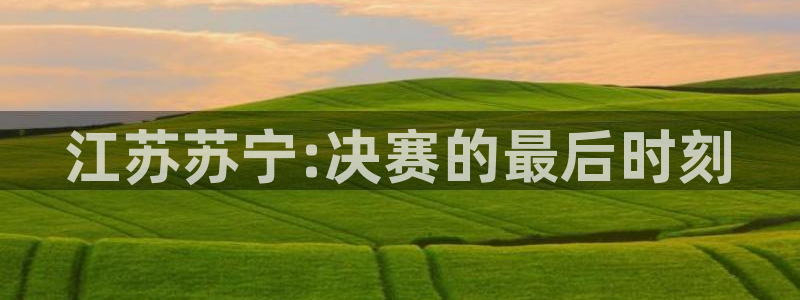 江苏苏宁:决赛的最后时刻