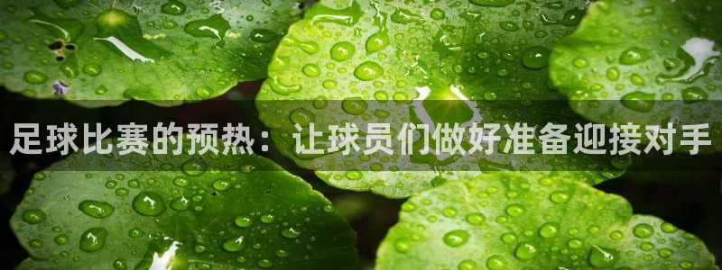  足球比赛的预热：让球员们做好准备迎接对手