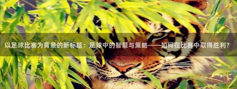 以足球比赛为背景的新标题：足球中的智慧与策略——如何在比赛中