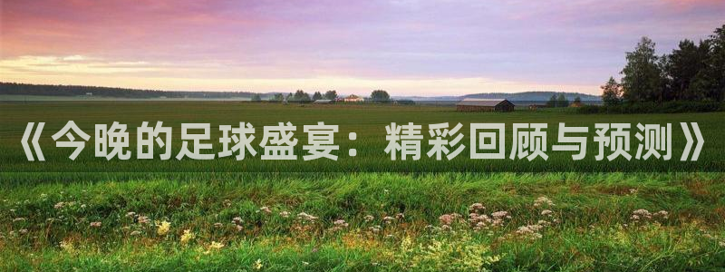 《今晚的足球盛宴：精彩回顾与预测》