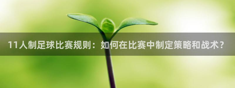 11人制足球比赛规则：如何在比赛中制定策略和战术？