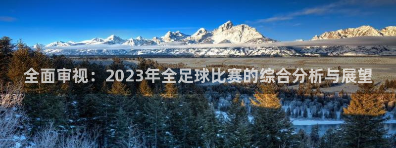  全面审视：2023年全足球比赛的综合分析与展望