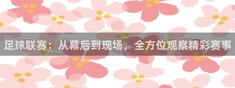  足球联赛：从幕后到现场，全方位观察精彩赛事