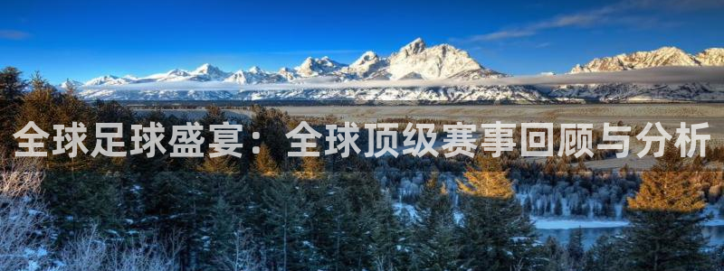  全球足球盛宴：全球顶级赛事回顾与分析