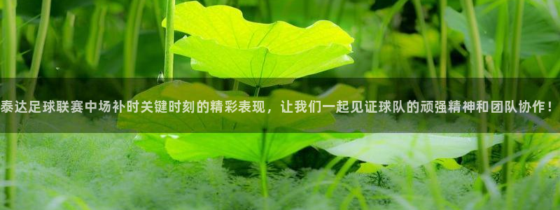 泰达足球联赛中场补时关键时刻的精彩表现，让我们一起见证球队的