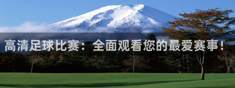  高清足球比赛：全面观看您的最爱赛事！