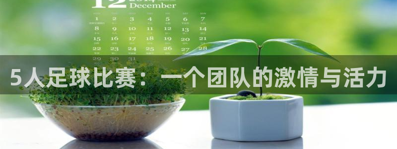  5人足球比赛：一个团队的激情与活力