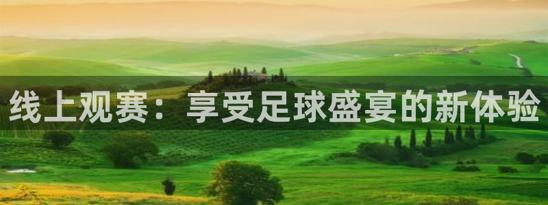  线上观赛：享受足球盛宴的新体验