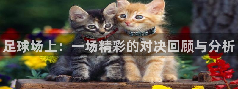  足球场上：一场精彩的对决回顾与分析