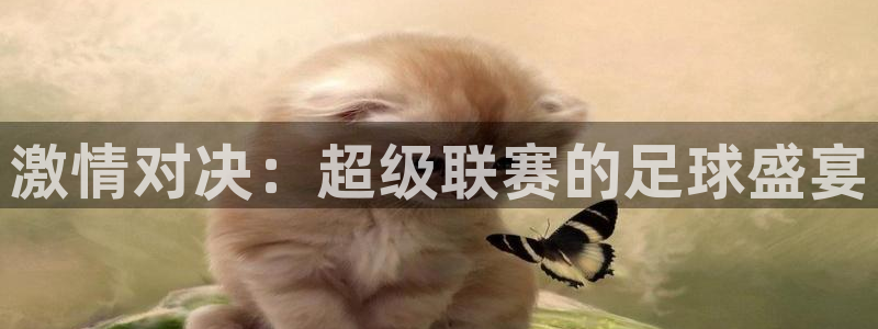 激情对决：超级联赛的足球盛宴