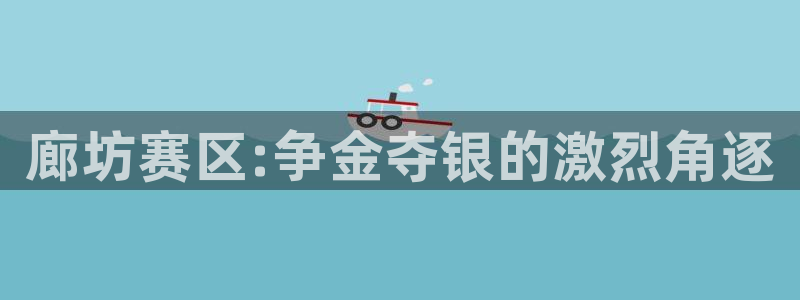廊坊赛区:争金夺银的激烈角逐