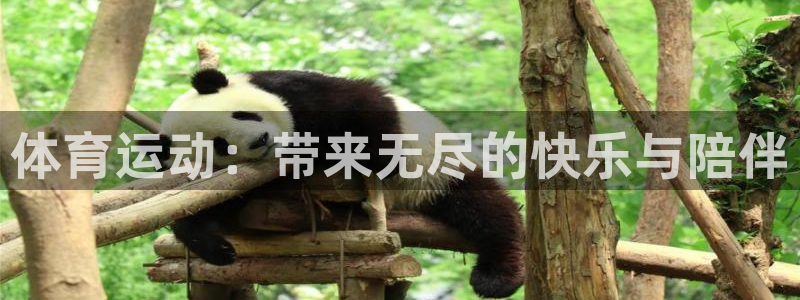 米兰体育官方下载入口