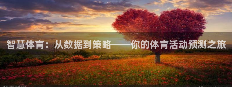 米兰体育：智慧体育：从数据到策略——你的体育活动预测之旅