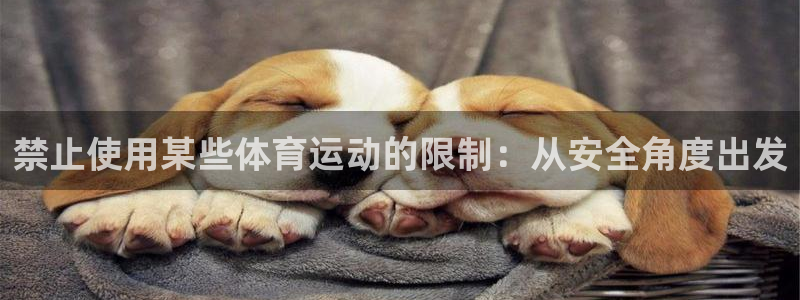 米兰体育官网