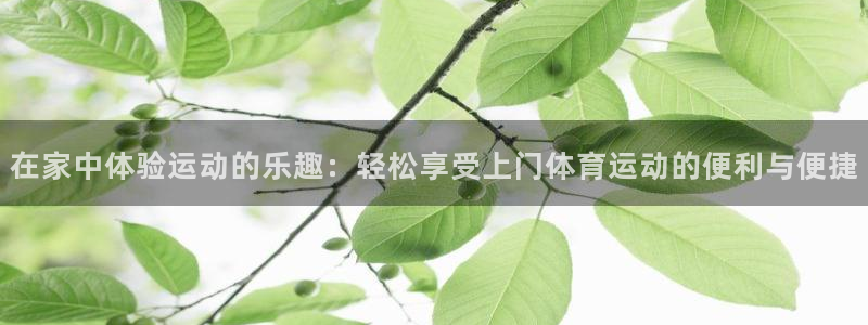 米兰体育下载官网最新版：在家中体验运动的乐趣：轻松享受上门体育运动的便利与便捷