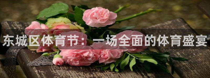 米兰体育综合官网：东城区体育节：一场全面的体育盛宴