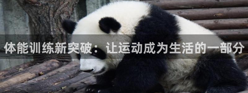 米兰体育.：体能训练新突破：让运动成为生活的一部分