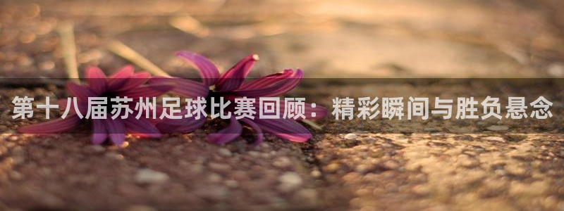 第十八届苏州足球比赛回顾：精彩瞬间与