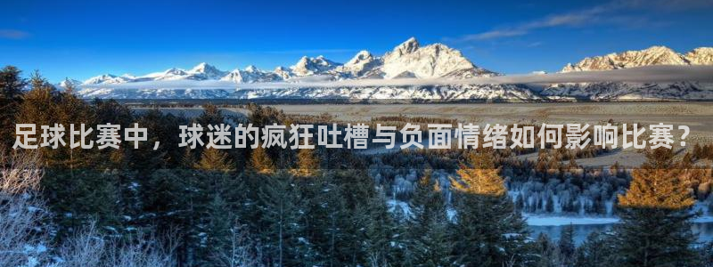 足球比赛中，球迷的疯狂吐槽与负面情绪