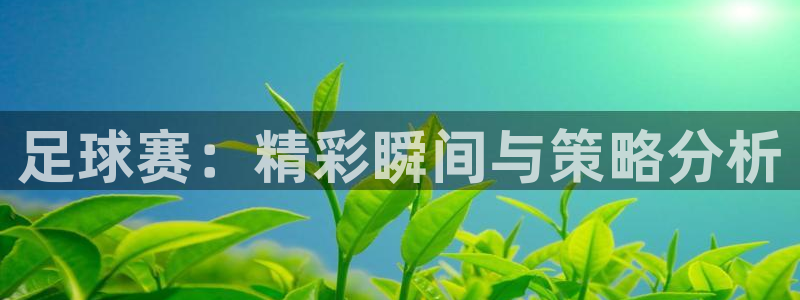 足球赛：精彩瞬间与策略分析