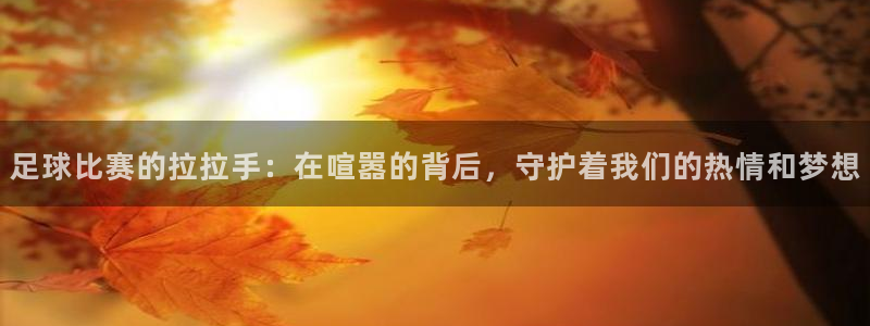 足球比赛的拉拉手：在喧嚣的背后，守护