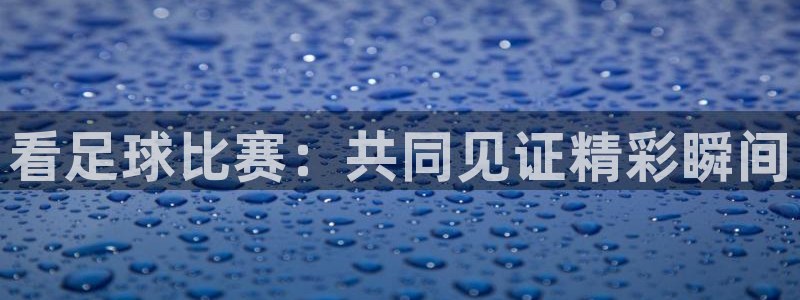 看足球比赛：共同见证精彩瞬间