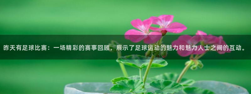 昨天有足球比赛：一场精彩的赛事回顾，