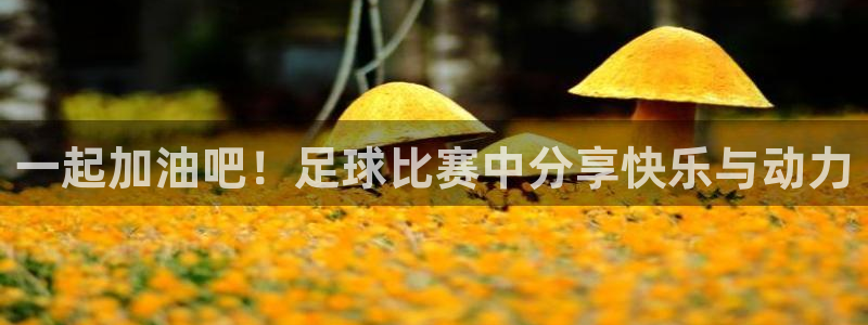 一起加油吧！足球比赛中分享快乐与动力