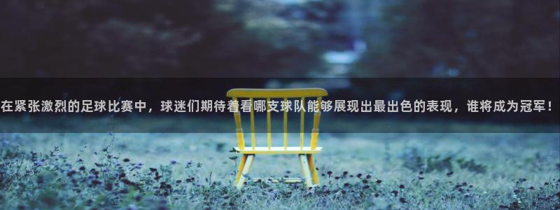 在紧张激烈的足球比赛中，球迷们期待着