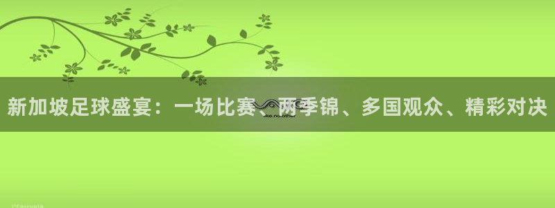 新加坡足球盛宴：一场比赛、两季锦、多