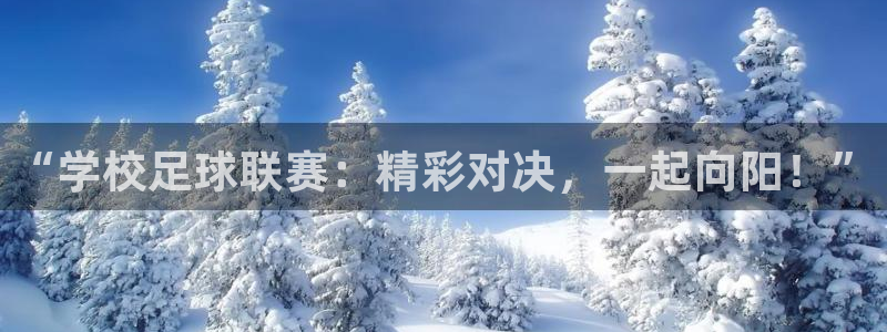 “学校足球联赛：精彩对决，一起向阳！