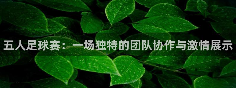 五人足球赛：一场独特的团队协作与激情