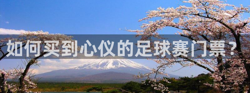 如何买到心仪的足球赛门票？
